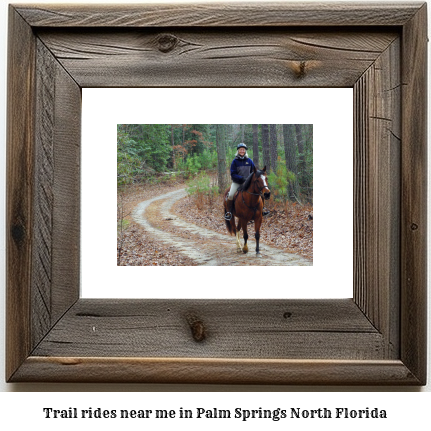 trail rides near me in Palm Springs North, Florida